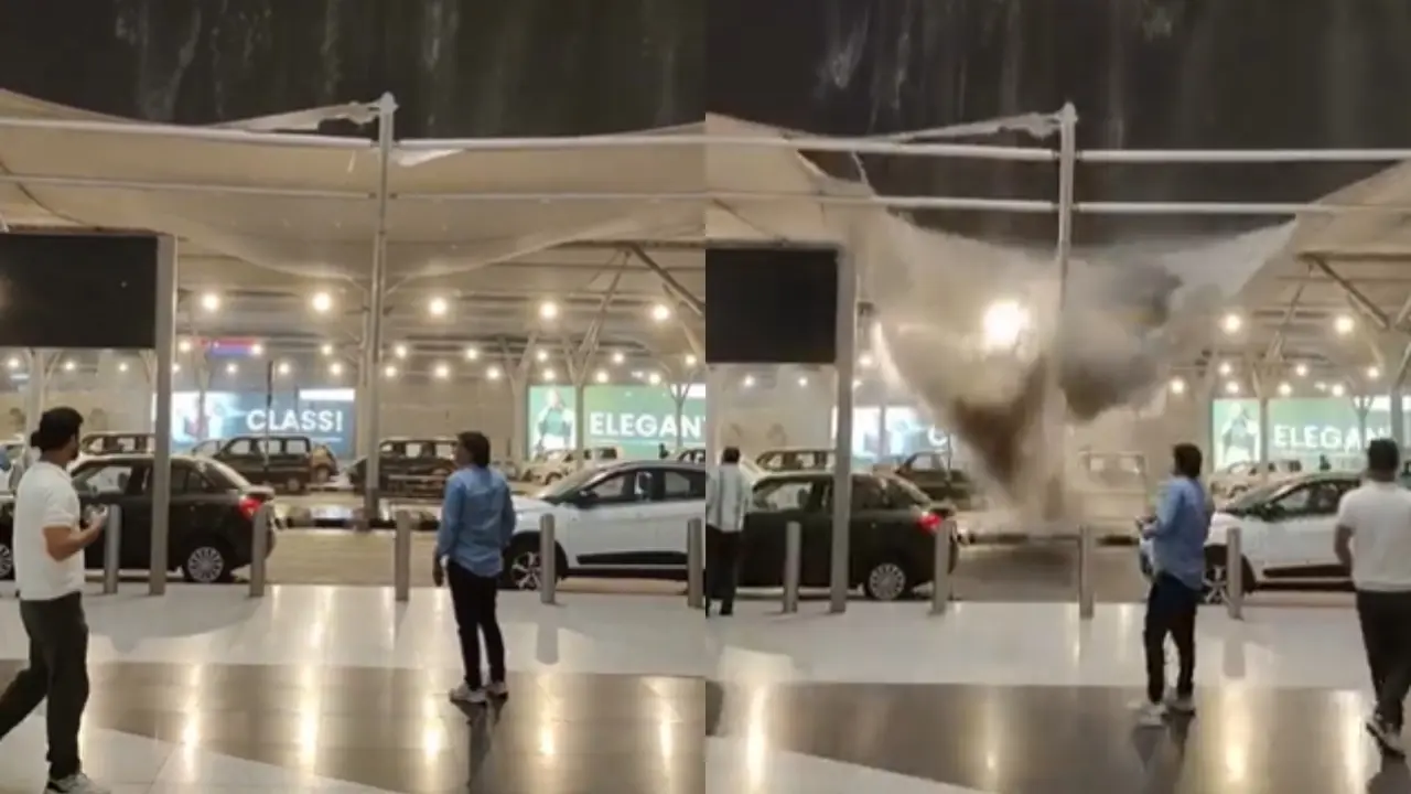 Delhi Airport Viral Video