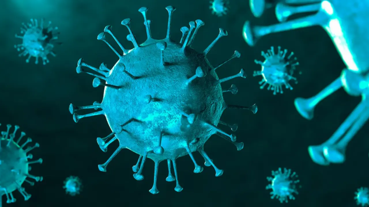 Delhi Covid News Update