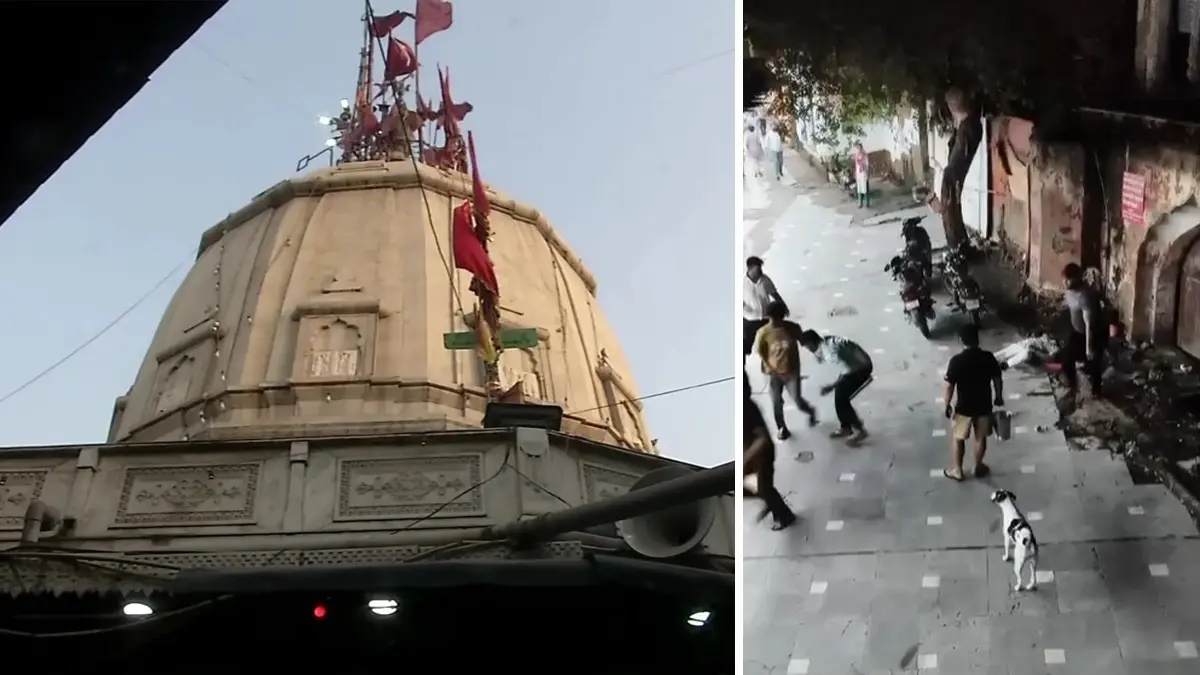 Delhi Kalkaji Mandir Murder: Sevadaar Beaten to Death Over Prasad Dispute | Shocking Assault Caught on Cam Delhi Horror: Kalkaji Mandir Sevadaar Beaten to Death Over Prasad Dispute | Watch Video