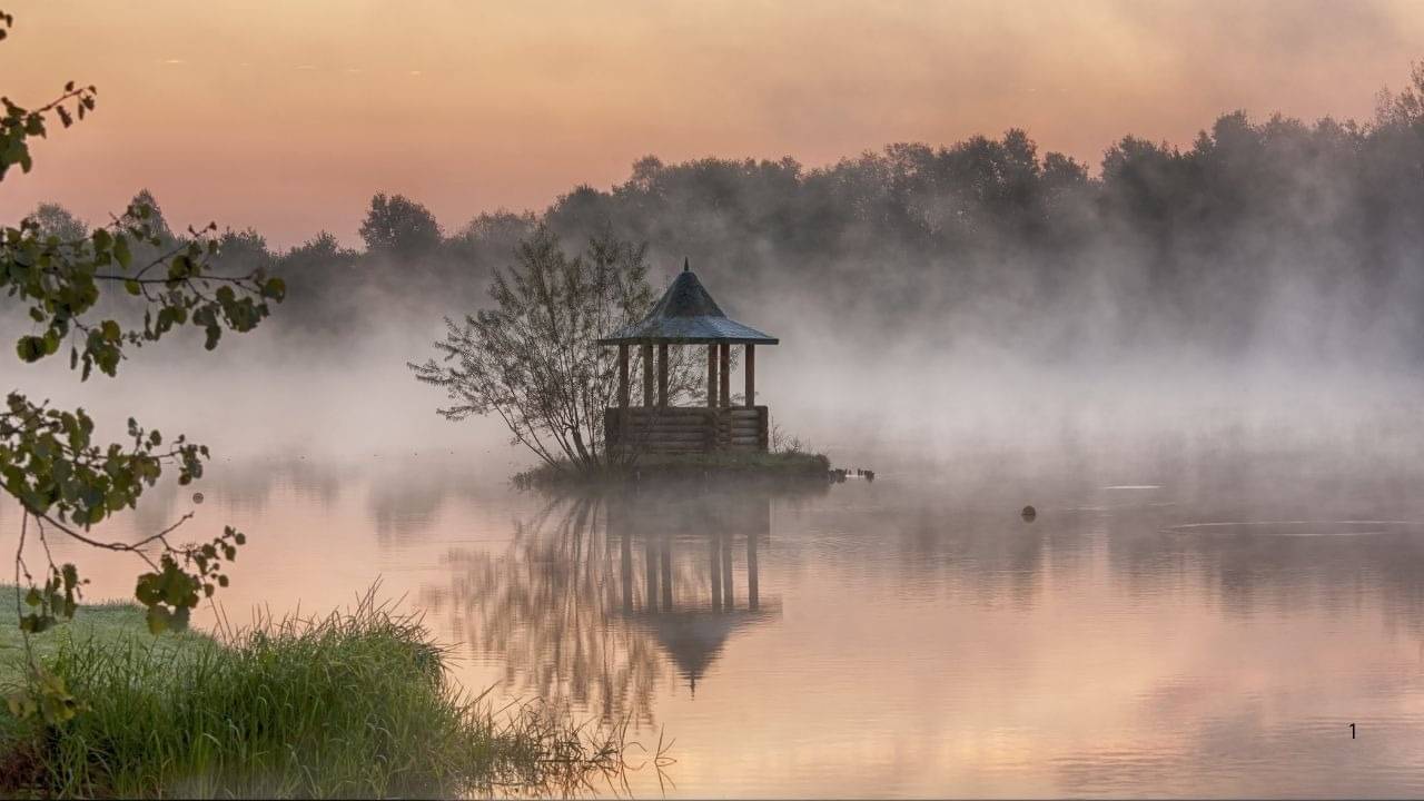 Description of the pic