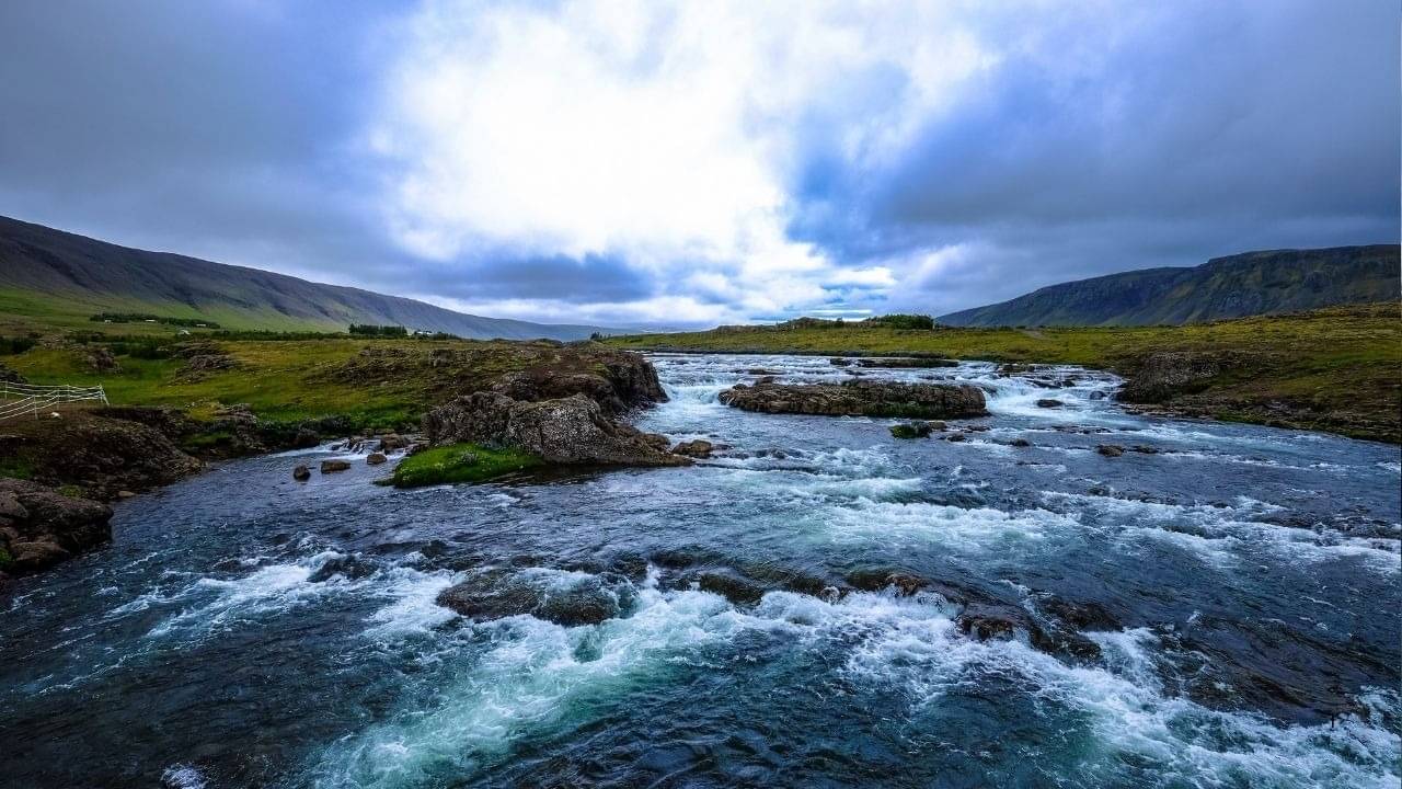 Description of the pic