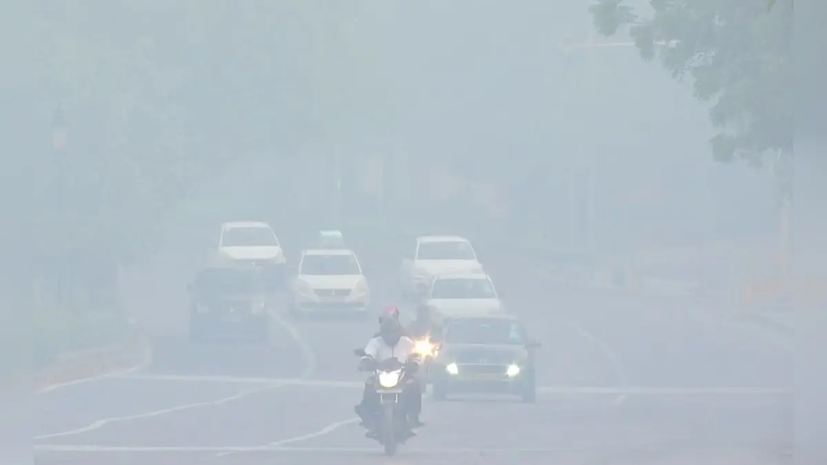 Delhi's Air Quality Crisis: 6 Thermal Power Plants Face CAQM Action Over Failing To Meet Biomass Co-Firing Targets