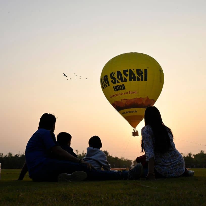 Description of the pic