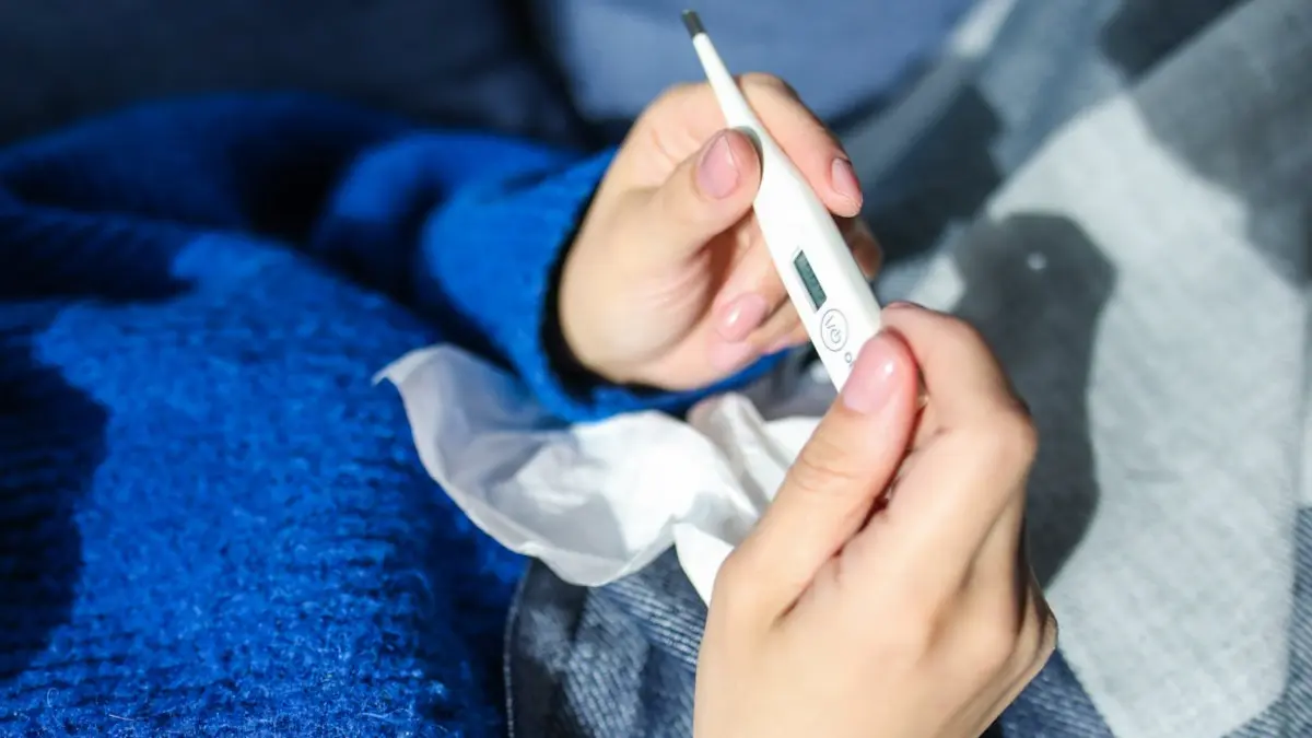 Dengue, Chikungunya Cases Rise In Karnataka Ahead Of Monsoon, With Bengaluru Worst-Hit: Know Symptoms, Precautions Dengue outbreak in Bengaluru.