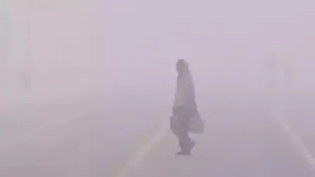 Dense fog blankets parts of Punjab