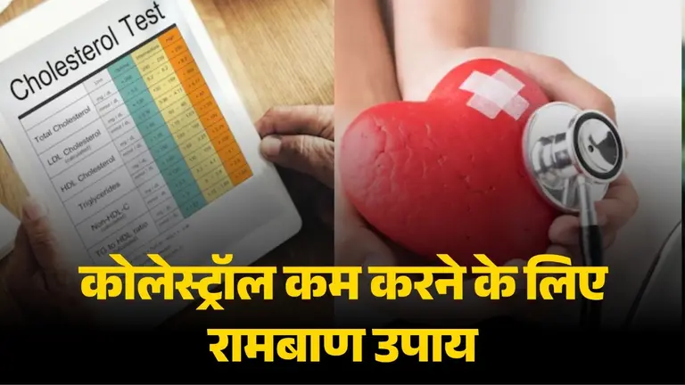 Cholesterol Home Remedies: कोलेस्ट्रॉल कम करने के लिए दवाइयां नहीं, काम आएगी घर में रखी ये देसी चीज; जानें क्या? desi-nuskha-for-cholesterol-control-home-remedy-in-hindi