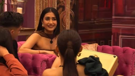 Description of the pic