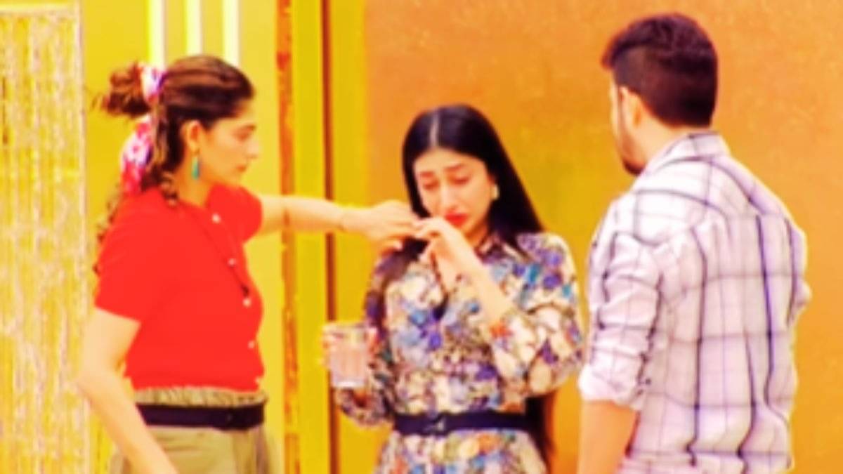 Description of the pic