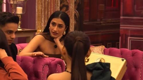 Description of the pic