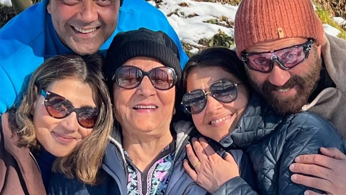 Description of the pic