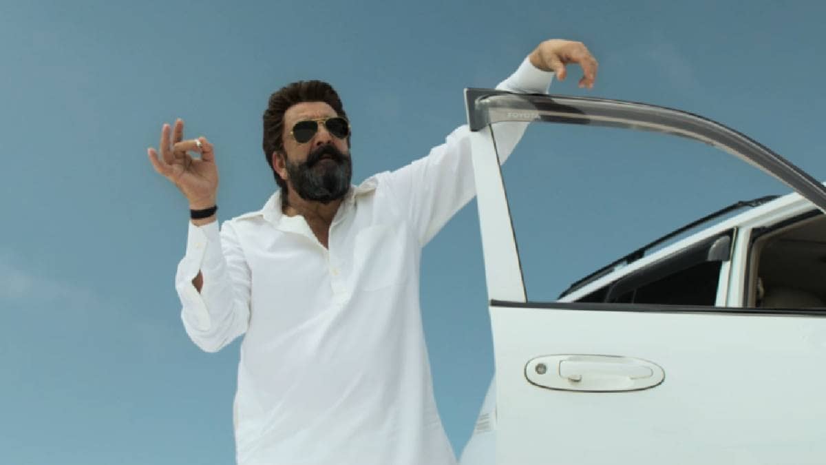 Dhurandhar Box Office Collection