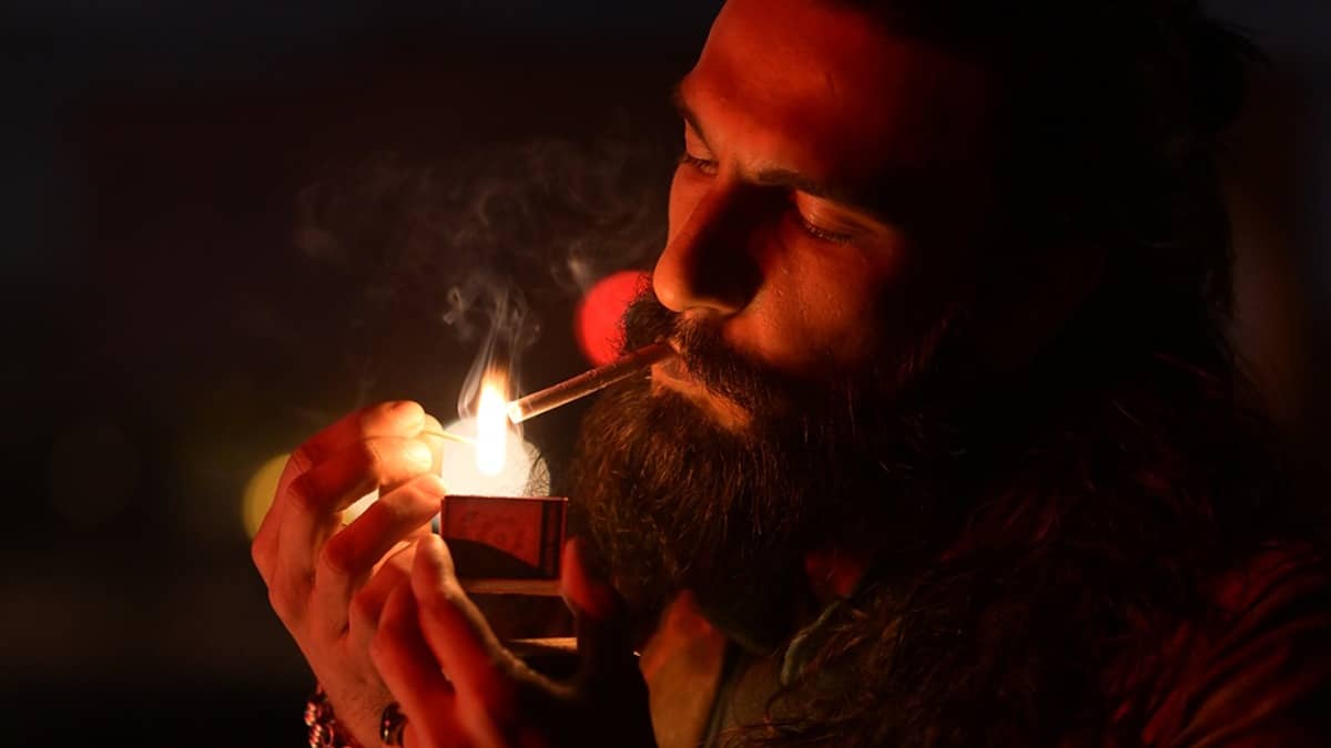 Dhurandhar part 2, Don 3 and an untitled zombie film are in Ranveer Singh's lineup of movies