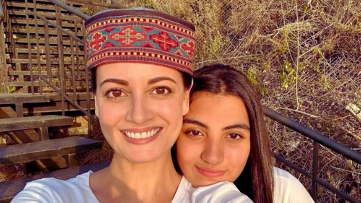 Description of the pic