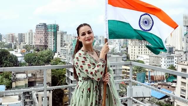 Description of the pic