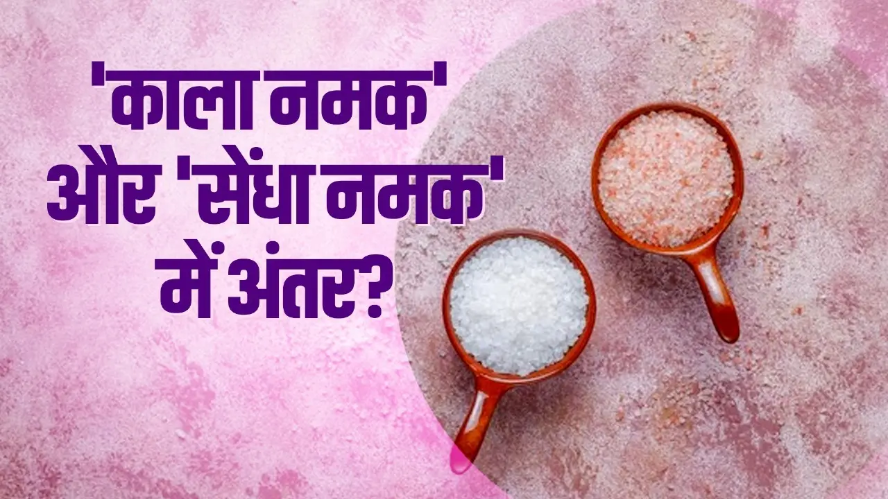 difference between rock salt and black salt