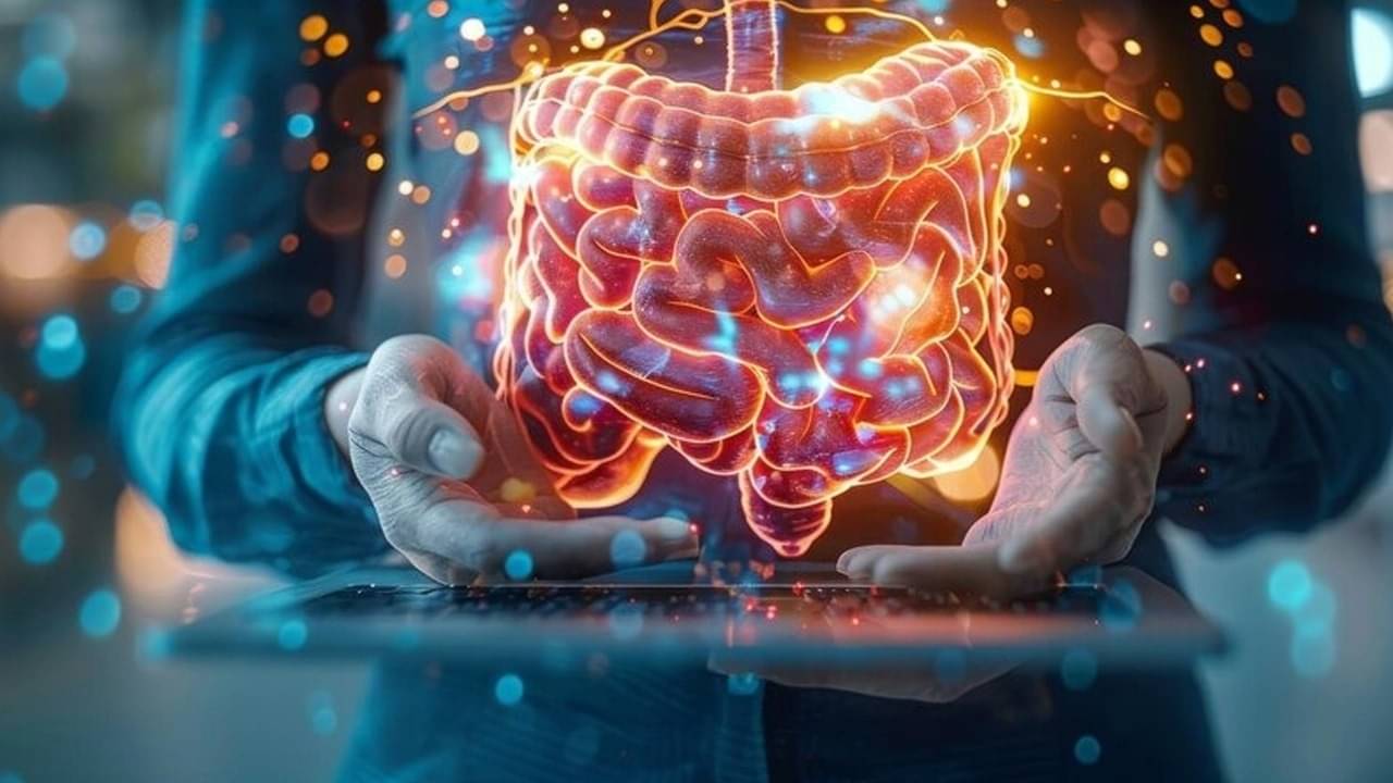 Description of the pic