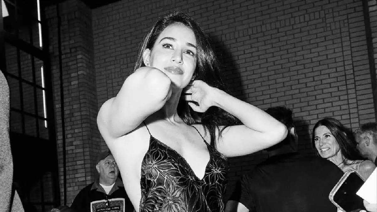 Description of the pic