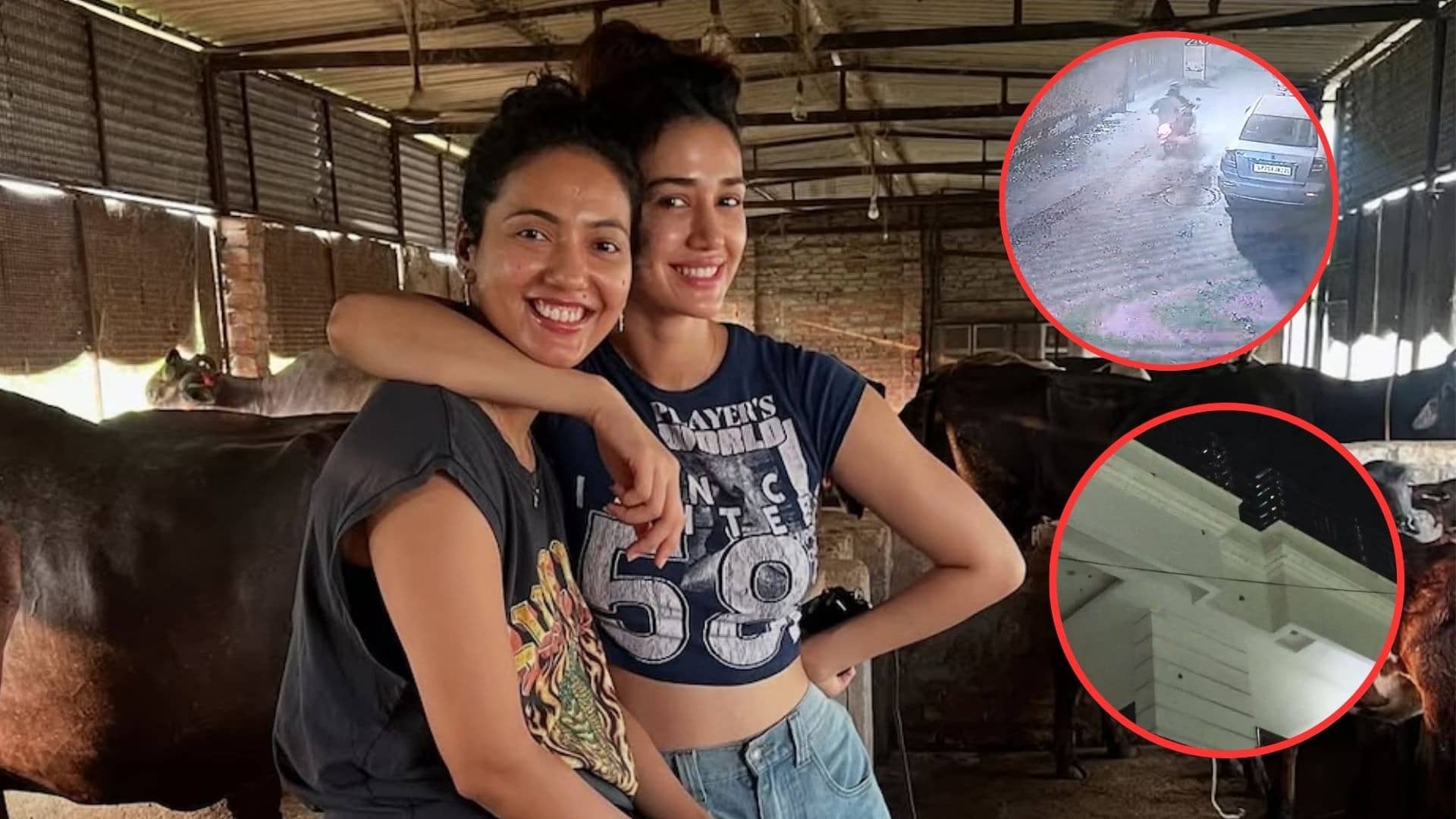 Description of the pic