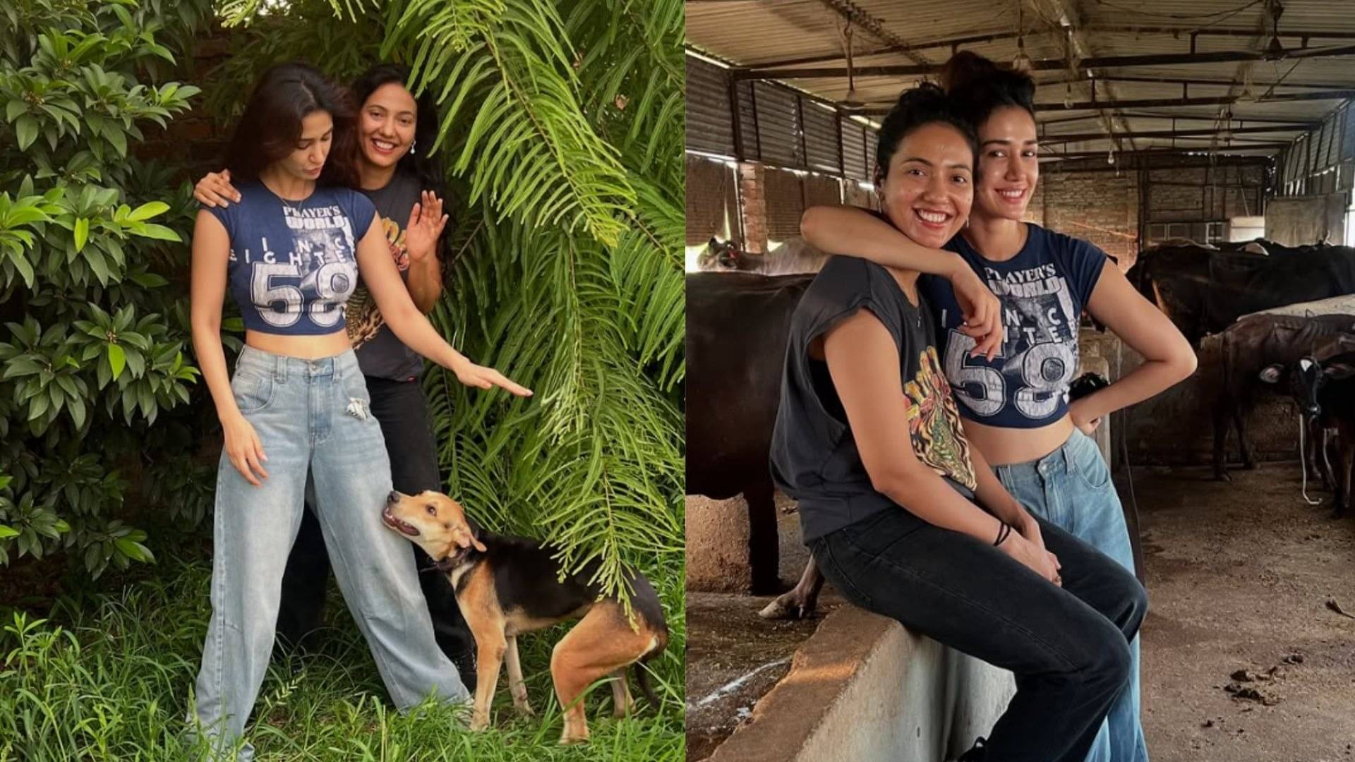 Description of the pic