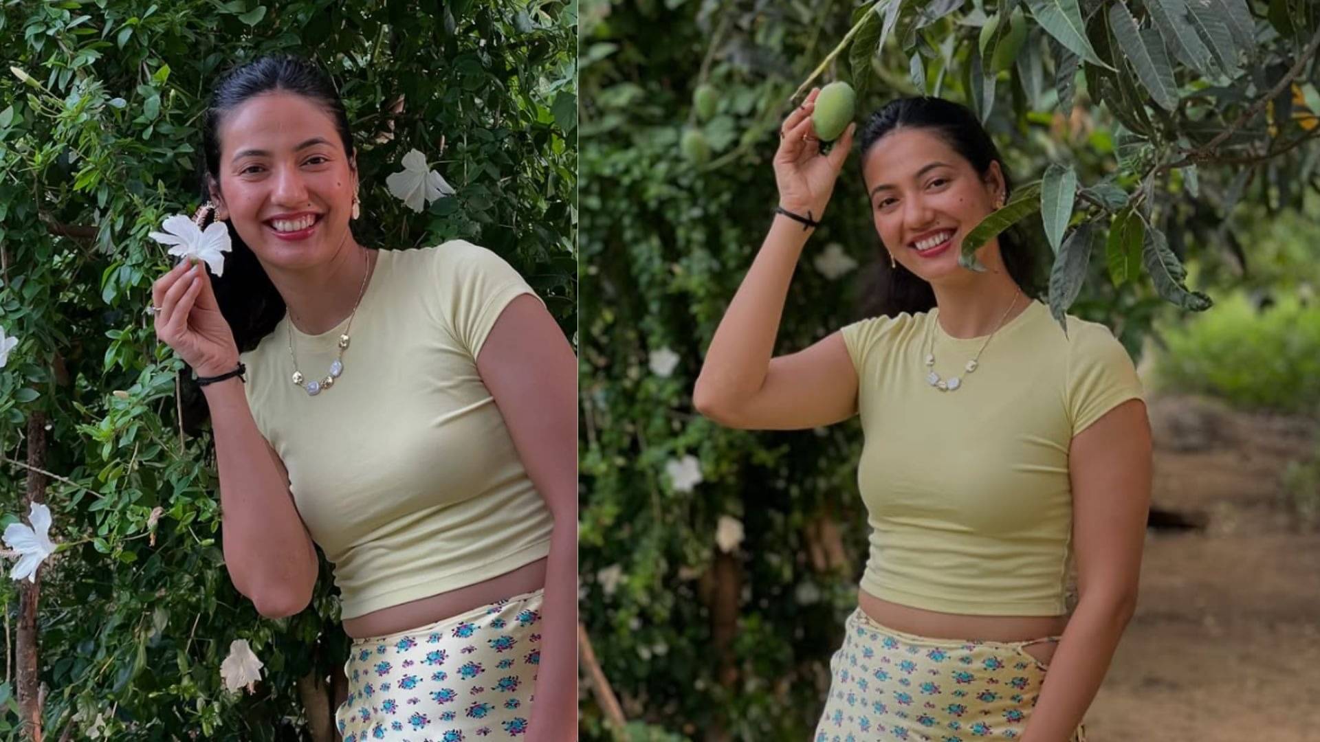 Description of the pic