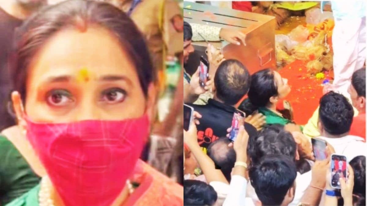 Description of the pic