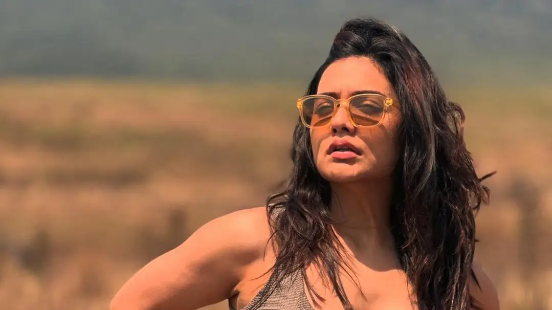 Description of the pic