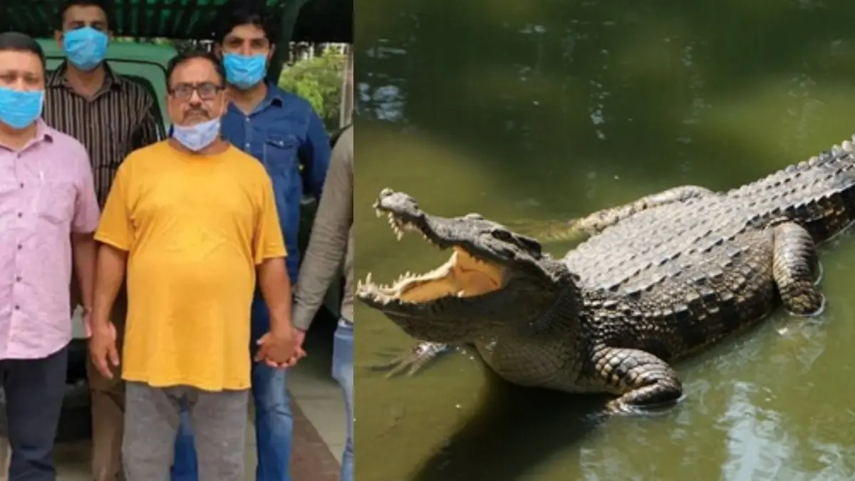 doctor-death-and-crocodiel