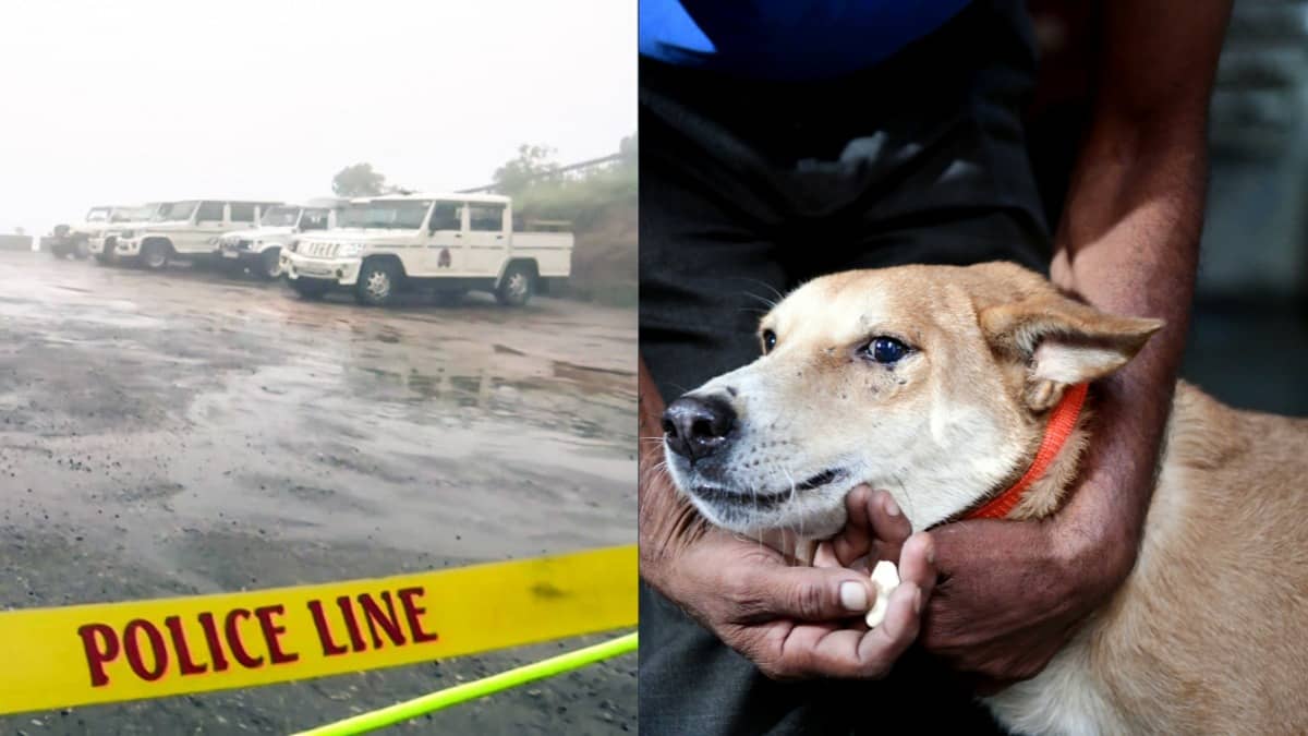 Rabies Fear Turn Fatal: 30-Year-Old Gets Overtly Anxious Of Infection, Commits Suicide After Dog Bite