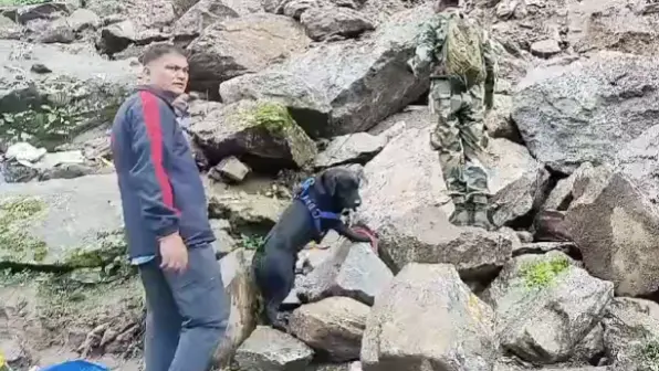 dog squad in Kedarnath