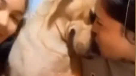 Dog’s tearful reaction to birthday surprise