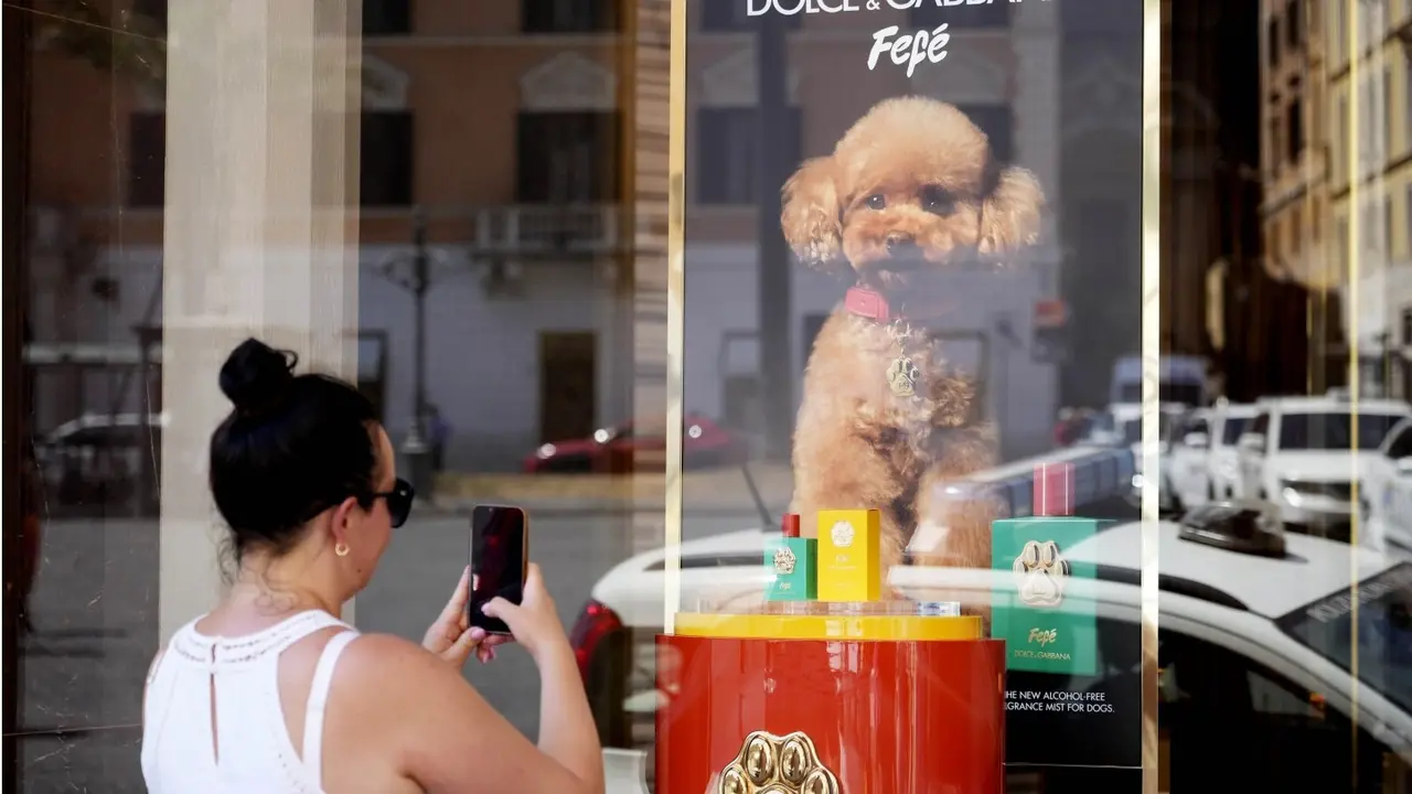 Dolce & Gabbana Expands Luxury Offerings with Dog Perfume Inspired by Founder’s Pet Dolce & Gabbana Expands Luxury Offerings with Dog Perfume Inspired by Founder’s Pet