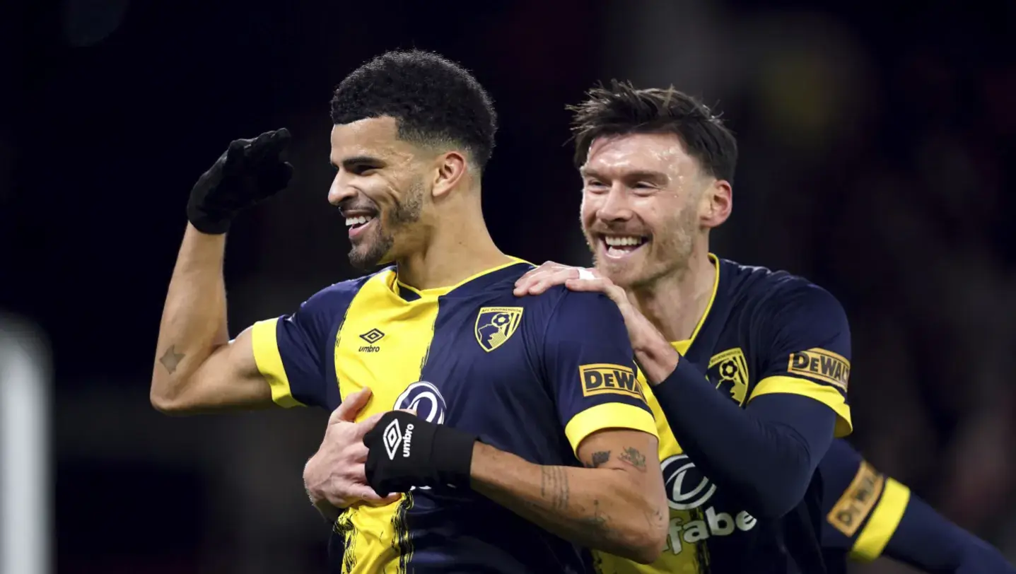 Description of the pic