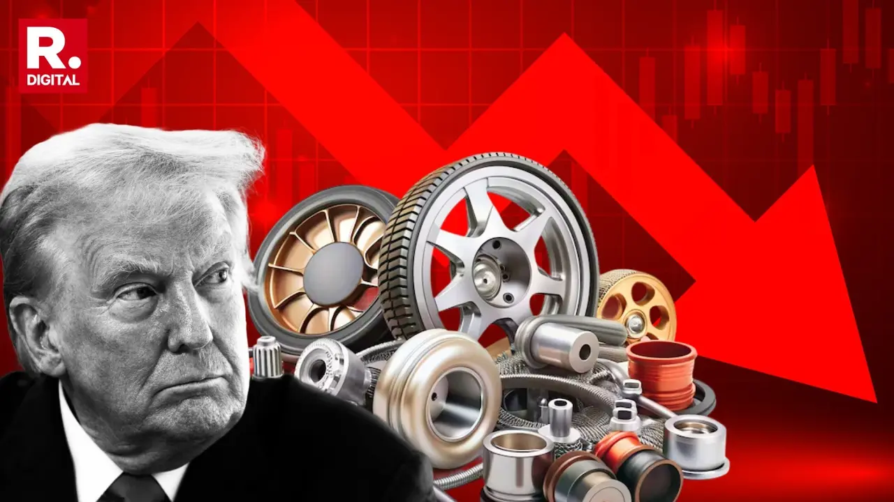 Donald Trump Auto Component stocks