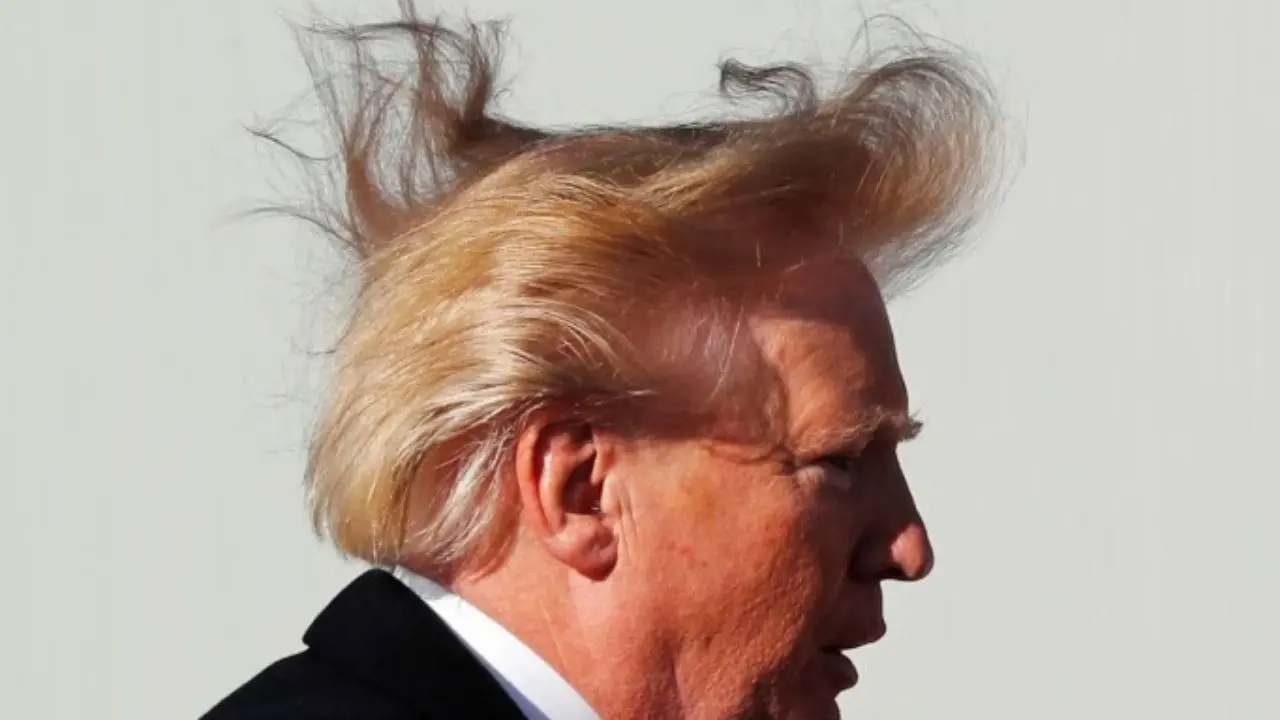 Donald Trump Hair