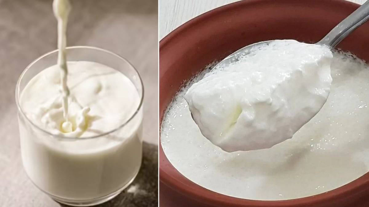 Doodh vs Dahi