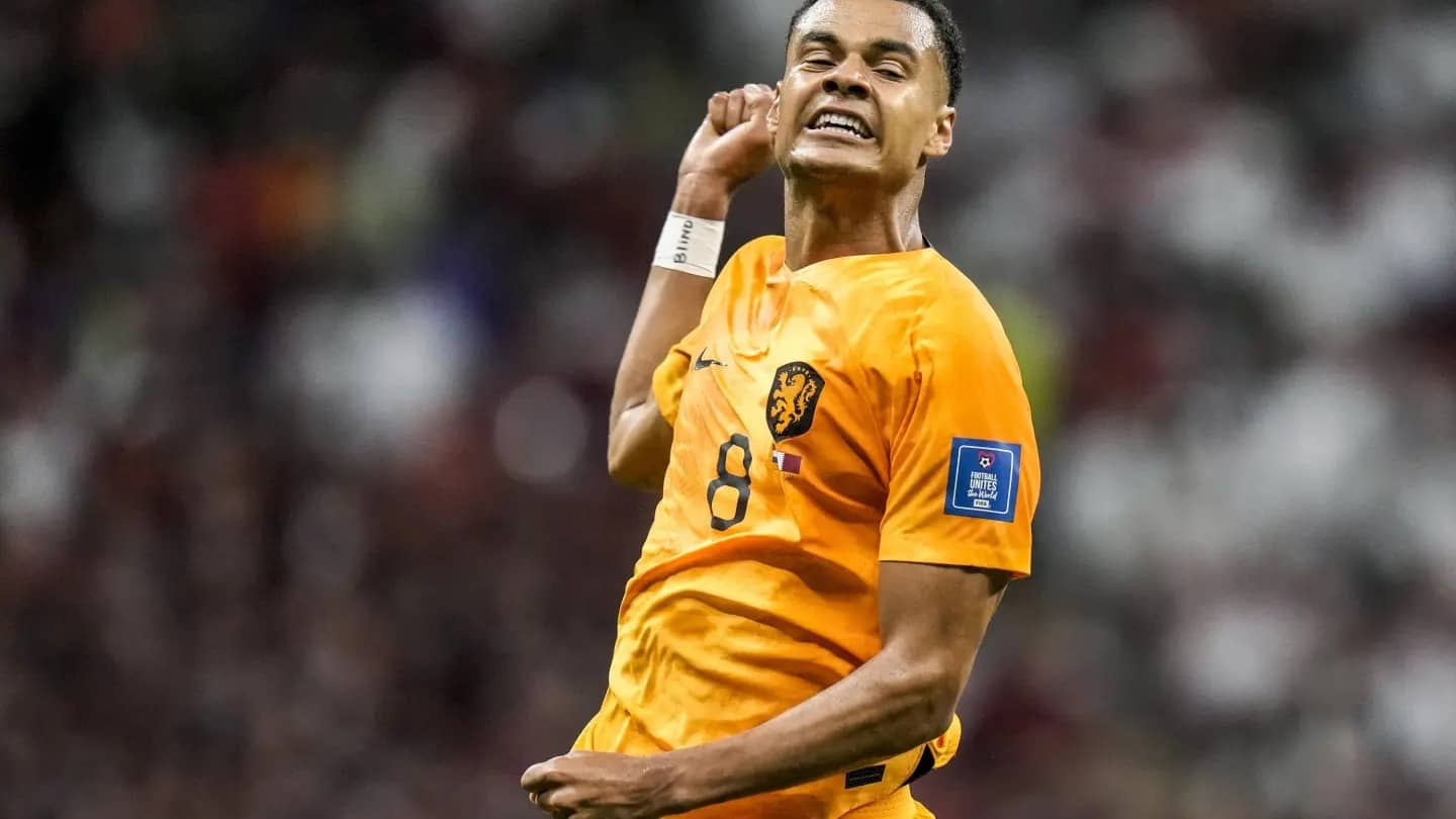 Description of the pic