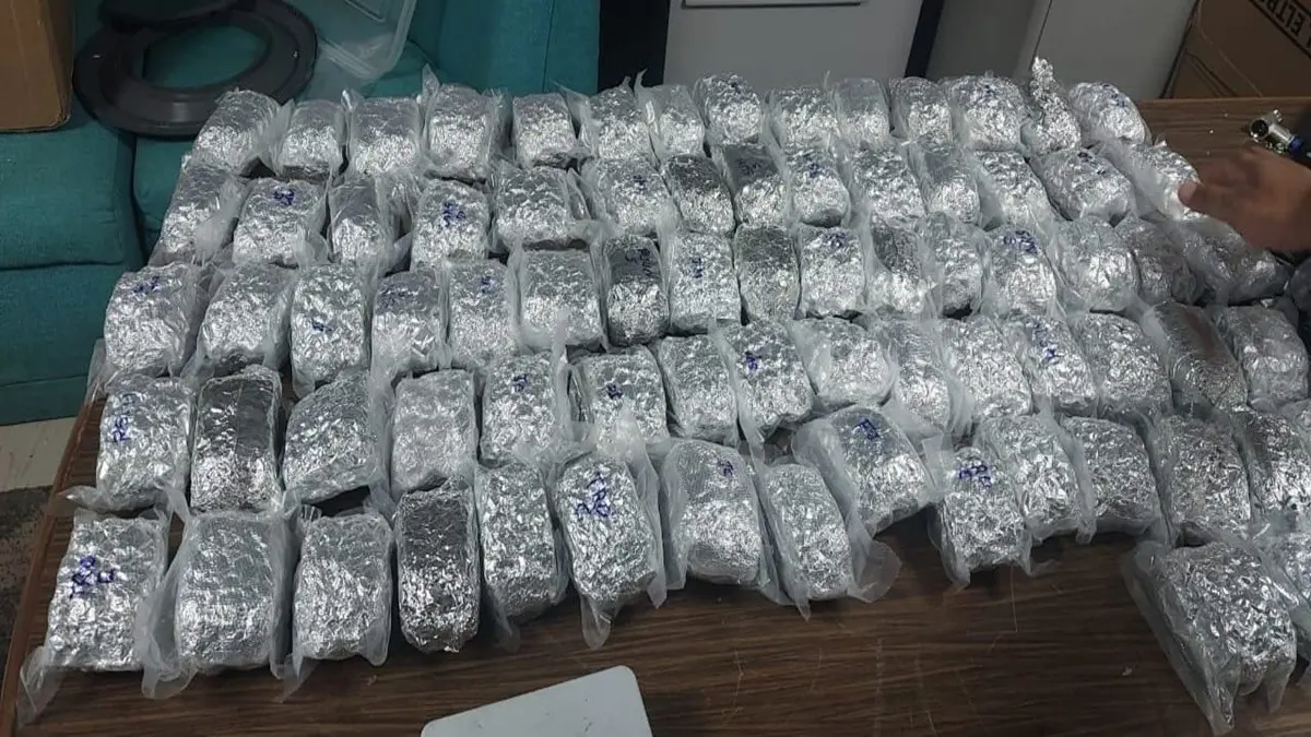 DRI Nabs Two Indian Nationals With Rs 15.46 Crore Worth High-Grade Hydroponic Cannabis At Lucknow Airport DRI Nabs Two Indian Nationals With Rs 15.46 Crore Worth High-Grade Hydroponic Cannabis At Lucknow Airport