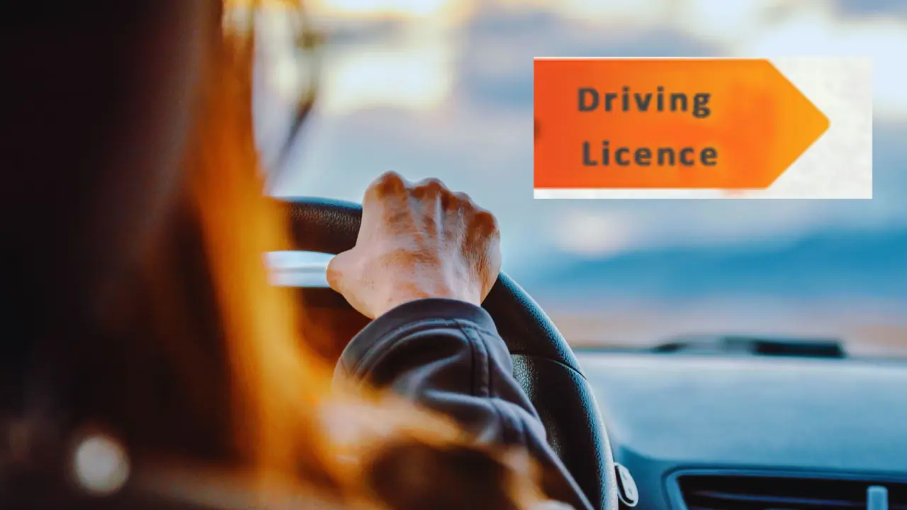 Driving Licence