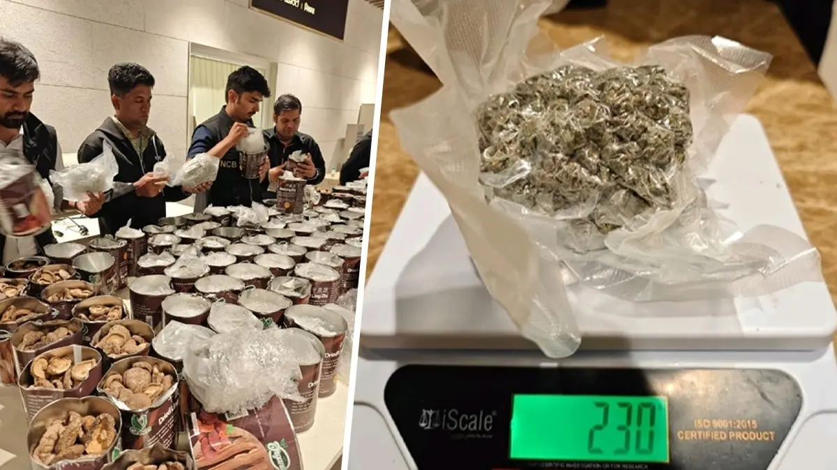 Drugs worth ₹50 crore were found in 250 vacuum-sealed food tins