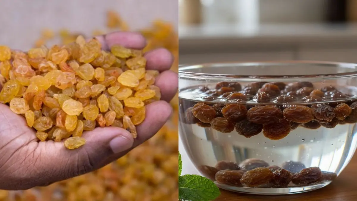 dry or soaked raisins benefits also know right way of eating during winter kishmish khane ka sahi tareeka kya hai