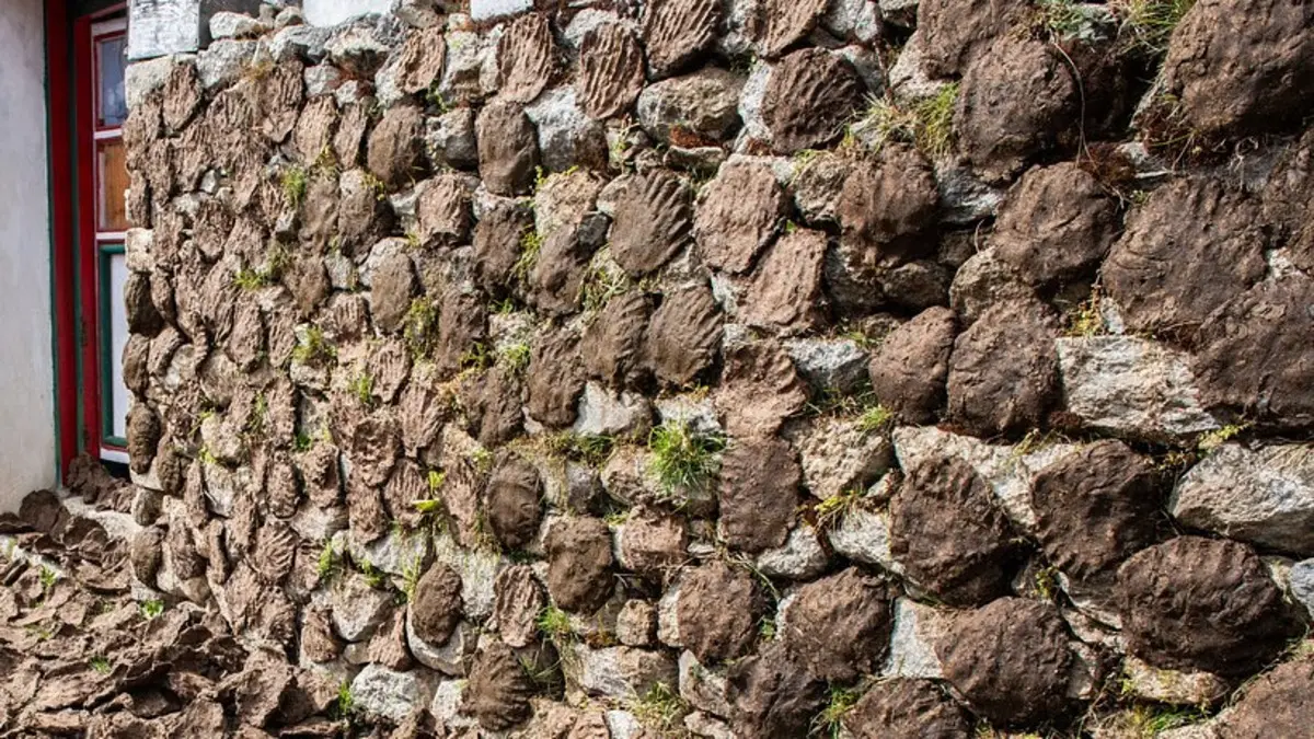 DU College Principal’s ‘Desi’ Cow Dung Solution To Beat The Summer Heat In Classroom Sparks Massive Backlash | VIDEO DU College Principal’s ‘Desi’ Cow Dung Solution To Beat The Summer Heat In Classroom Sparks Massive Backlash