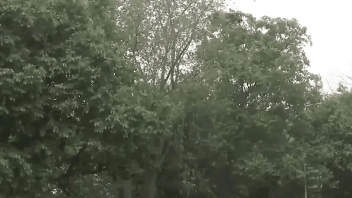 Dust storm, Delhi NCR