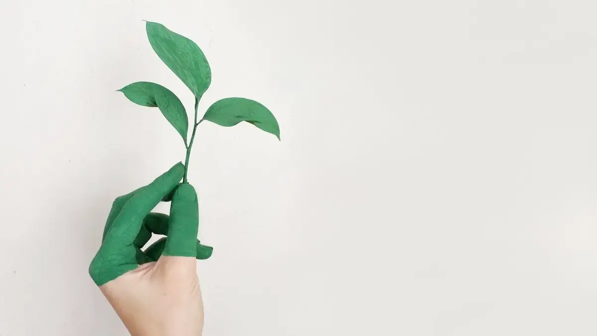 Earth Day 2025: Date, Theme, History And Reasons For Celebration Earth Day 2025.