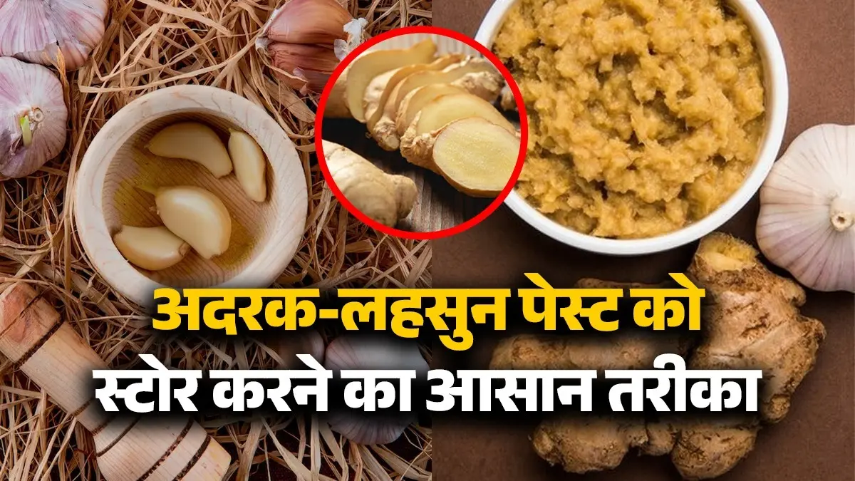How To Store Ginger Garlic Paste: नहीं पड़ेगा काला, न बदलेगा स्वाद, महीनों तक चलेगा अदरक-लहसुन का पेस्ट; बस अपनाएं ये 4 सीक्रेट ट्रिक्स easy tips to store ginger garlic paste for fresh taste adrak lehsun paste store karne ke asan hacks