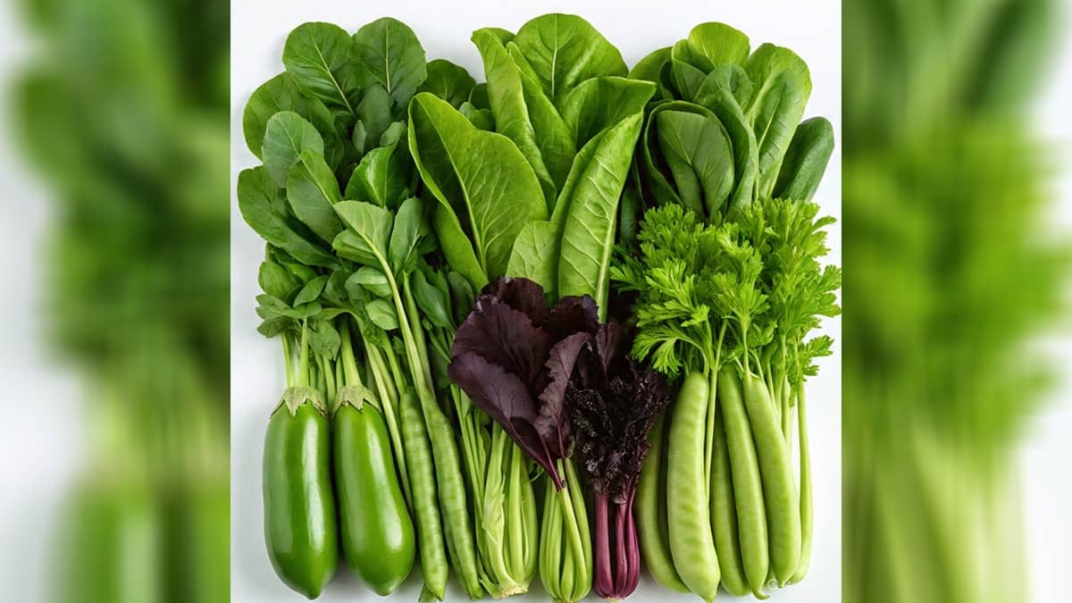 Description of the pic