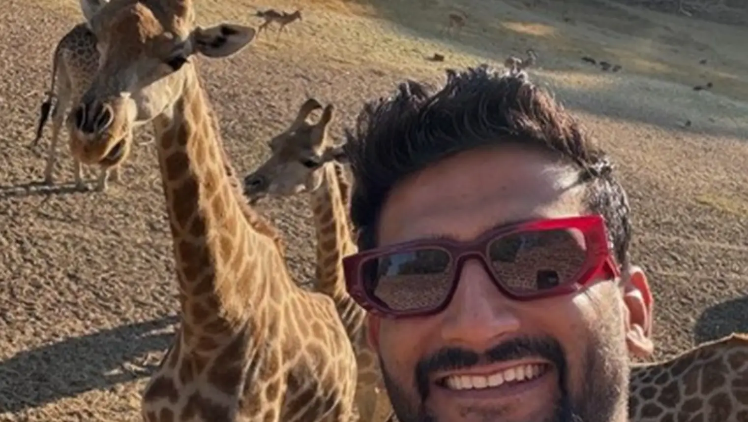 Description of the pic