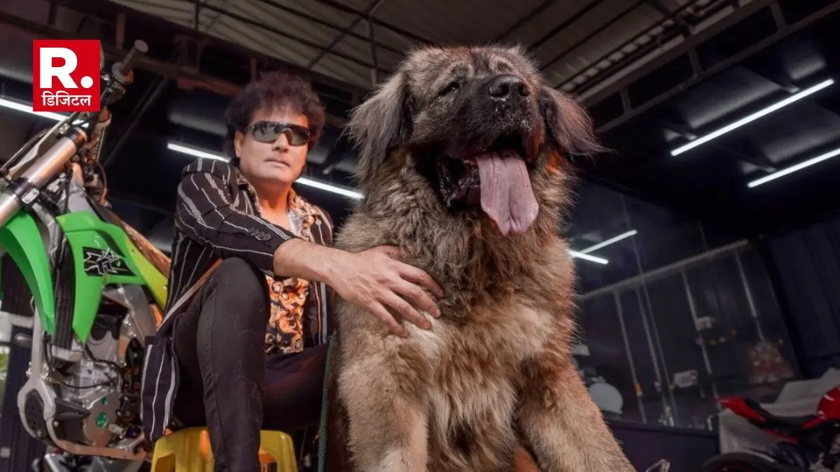 ED raids the house of dog breeder Satish Cadaboms World most expensive Wolfdog