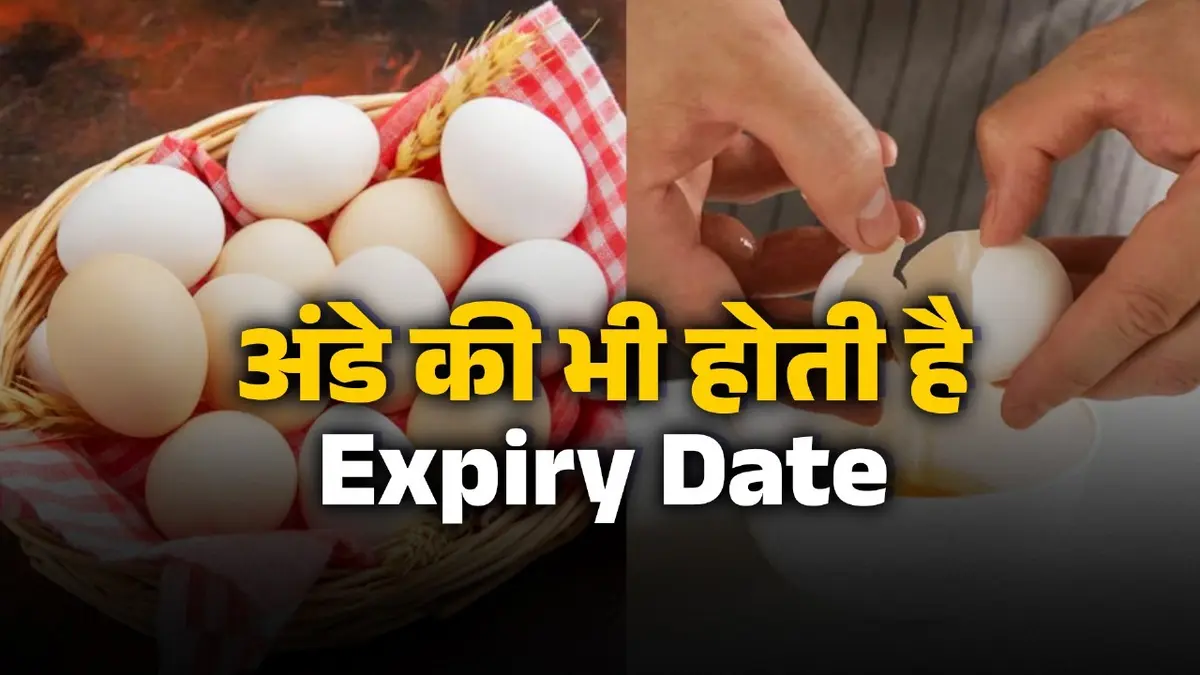 Egg Expiry Date: अंडे की भी होती है एक्सपायरी डेट? खराब अंडा खाने से बिगड़ सकती है सेहत, जानें कैसे करें फ्रेशनेस चेक egg-expiry-date-how-to-check-egg-freshness-at-home-tips-