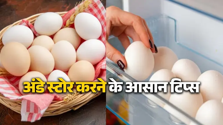 Egg Storage Tips: अंडे फ्रिज में रखने चाहिए या बाहर? जानें इन्हें स्टोर करने का सही तरीका, रहेंगे फ्रेश egg-storage-tips-fridge-or-room-temperature anda rakhne ka tarika