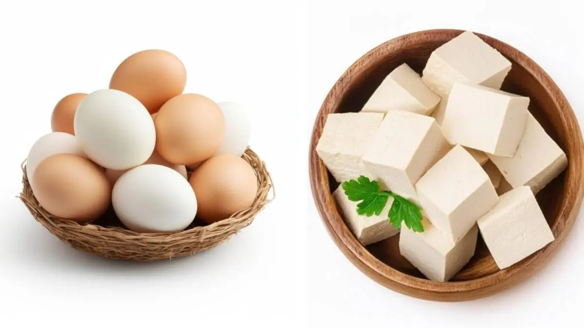 Egg vs Paneer